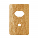 Placa p/ 1 Tomada + furo 4x2 - Novara Avelã 